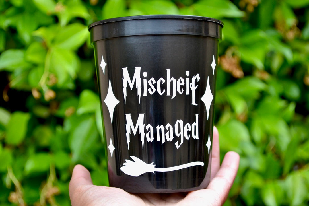 Custom HP Bachelorette Party Cups, Muggle to Mrs Decor, I found My Keeper Favors